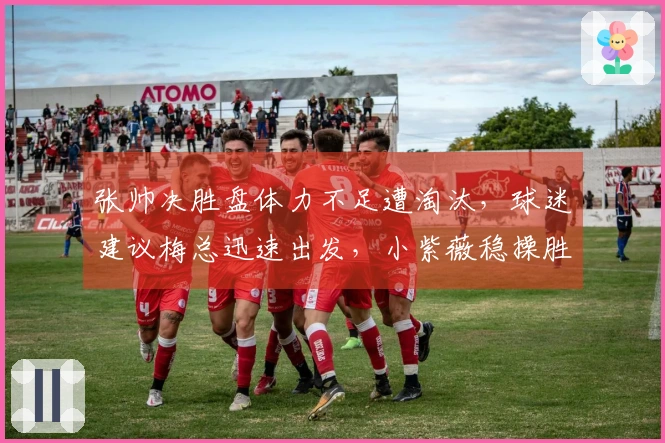 张帅决胜盘体力不足遭淘汰，球迷建议梅总迅速出发，小紫薇稳操胜券夺冠