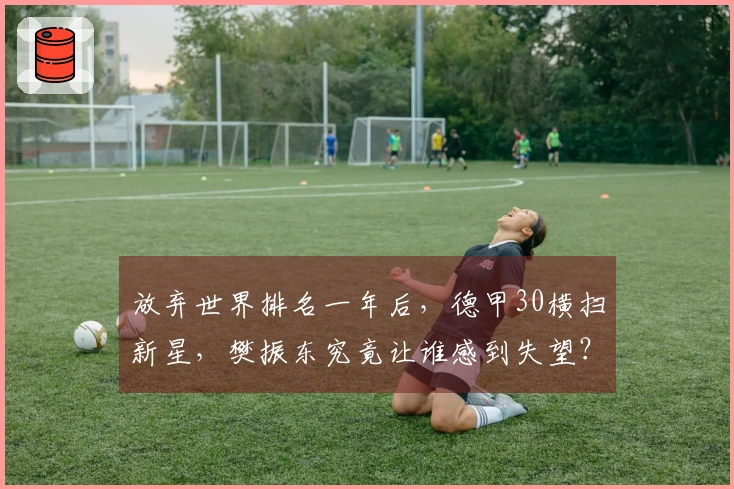放弃世界排名一年后，德甲30横扫新星，樊振东究竟让谁感到失望？